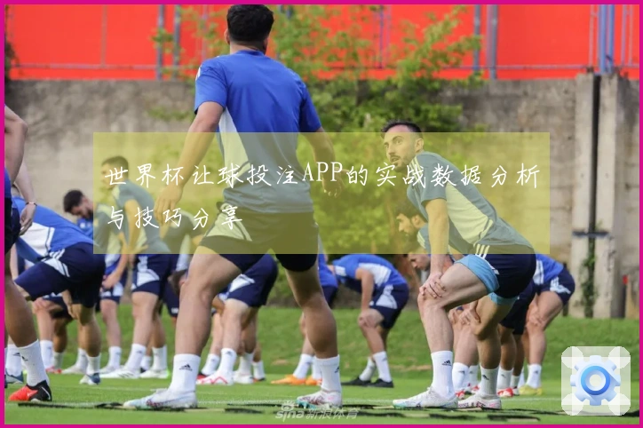 世界杯让球投注APP的实战数据分析与技巧分享