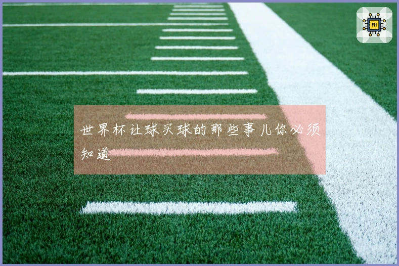 世界杯让球买球的那些事儿你必须知道