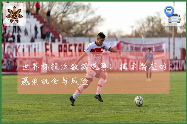 世界杯投注数据观察：揭示潜在的赢利机会与风险