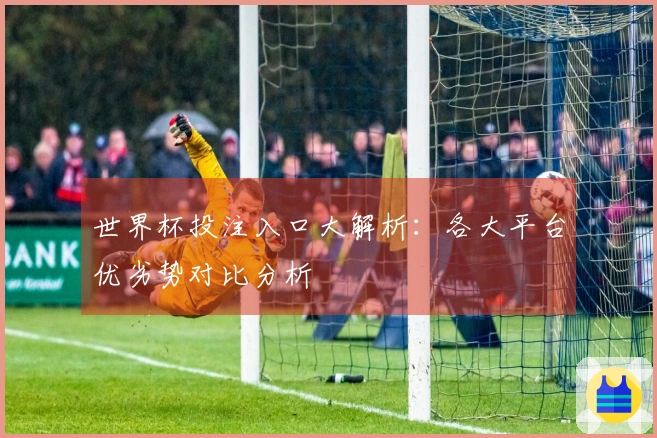 世界杯投注入口大解析：各大平台优劣势对比分析